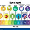 undefined Mini Aula sobre pH