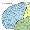 undefined Neuro