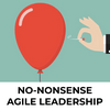 undefined No Nonsense Agile Leadership