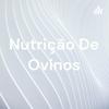 undefined Nutrição De Ovinos