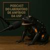 undefined O Podcast do Laboratório de Anfíbios da USP
