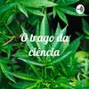 undefined O Trago da Ciência - Maconha