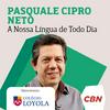 undefined Pasquale Cipro Neto - A Nossa Língua de Todo Dia