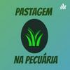 undefined PASTAGEM NA PECUÁRIA