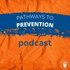 undefined Pathways to prevention