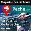 undefined Pêche en mer