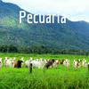 undefined Pecuária
