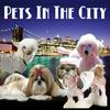 undefined Pets In The City - New York City Pets & Animals - Pet Life Radio Original