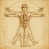 undefined Physiologically Speaking
