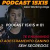 undefined DOGCAST ADESTRAMENTO CWD 15X15
