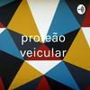 undefined proteção veicular