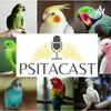 undefined Psitacast
