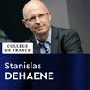 undefined Psychologie cognitive expérimentale - Stanislas Dehaene