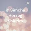 undefined R' Simcha Herzog Shiurim