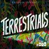 undefined Terrestrials