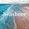 undefined Seashore