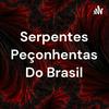 undefined Serpentes Peçonhentas Do Brasil