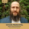 undefined Shiur Principal em Português