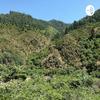 undefined Sustentabilidade
