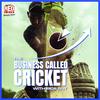 undefined The Business Called Cricket