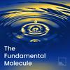 undefined The Fundamental Molecule
