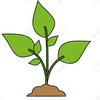 undefined The plants