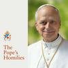 undefined The Pope's Homilies - English Version of the Pope’s Sermons and Speeches