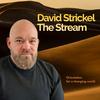 undefined David Strickel | The Stream