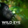 undefined The Wild Eye Podcast