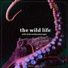 undefined The Wild Life