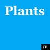 undefined TIL: Plants