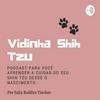 undefined Vidinha Shih Tzu