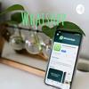 undefined WhatsApp