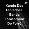 undefined Xande Dos Teclados E Banda Lobisomem Do Forró