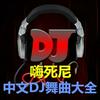 undefined 中文DJ舞曲大全