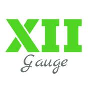 Podcast 12 Gauge Talk