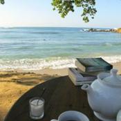 Podcast 5 ELEMENTS WELLNESS- Art of Living-DIRECT THE FLOW OF YOUR LIFE