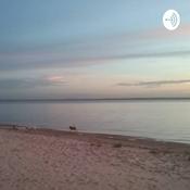 Podcast 5cachorrosmimados