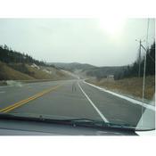 Podcast A bucket list on Wheels