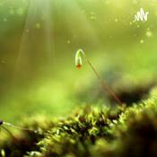 Podcast A Evolução Das Plantas - Das Algas Às Angiospermas