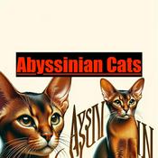 Podcast Abyssinian Cats