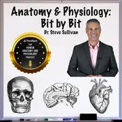 Podcast Anatomy and Physiology - Bit by Bit