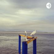 Podcast Aspectos NEUROPSICOLOGICOS do TDAH