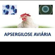 Podcast Aspergilose Aviária