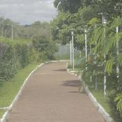 Podcast Aulas WilsonSerpa