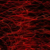 Podcast Autodeterminação ou Bem comum?