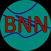 Podcast Bad Normal Nights!