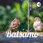 Podcast Bálsamo e Mel.