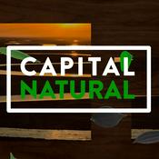 Podcast BandNews Capital Natural