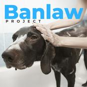 Podcast Banlaw Project